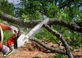 Cochranton, PA  Tree Services Company